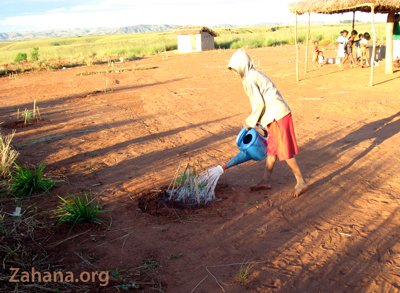 Zahana planting trees in Madagascar